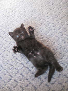 замурррчательные детки!!! =)))