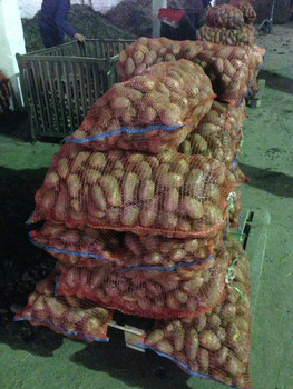 Картофель оптом со склада от производителя 2