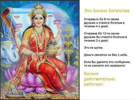 Более 8800 долларов ежемесячно в компании STIFORP!!!