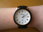 Продам в Нижнем Новгороде: Новые наручные часы Dalas