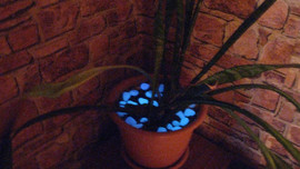 декоративные камни игрунты светящиеся в темноте 3