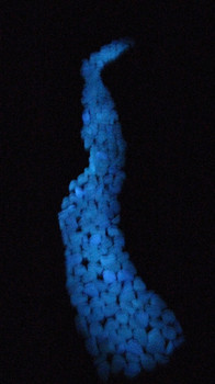 декоративные камни игрунты светящиеся в темноте 5