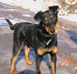 В САМЫЕ ЛУЧШИЕ РУКИ!!!