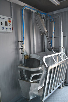 Мини бойня свиней 2