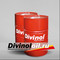 Минеральное масло для форм Divinol