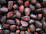 Кедровый орех оптом от производителя. Урожай 2016г
