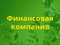 Финансовая компания