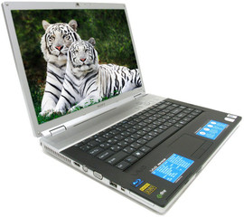 Продам Sony vaio VGN-FZ31SR