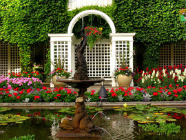 Ландшафтный дизайн Вашего сада