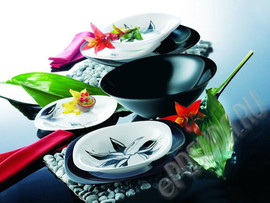 Посуда из Европы