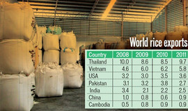 Рис оптом из Таиланда от производителя. 2