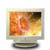 ЭЛТ монитор CTX VL950