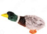 DEZZIE 5625900