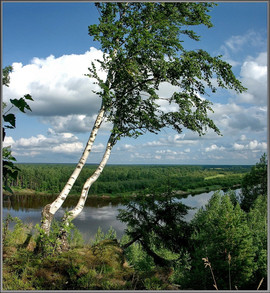 Эксклюзивный Konica-Minolta Dimage A1 в упаковке. 2