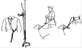 Борзые и гончие Сабанеев 570 страниц Классика