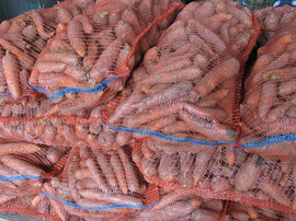 Морковь Оптом от 20 тонн. Доставка!