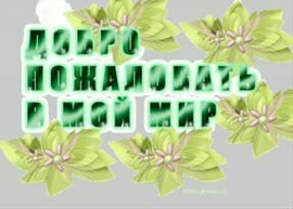 Компания STIFORP - Международный лидер!