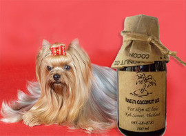 КОКОСОВОЕ МАСЛО для ухода за шерстью йорков. 100% натур