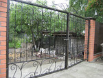 Забор, ворота,навес из поликарбоната