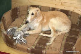 Превосходный малыш