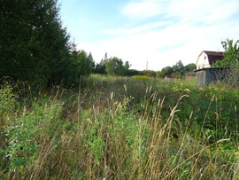 Продам участок в садоводстве Суйда Гатчинского р-на