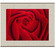 Картина вышитая шелком Красная роза - символ любви Размер 64 х 51 см