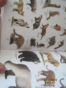 Книги на испанском языке 6