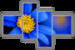 Модульная картина: Синий цветок (четыре полотна)