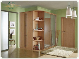 Шкаф-купе в прихожую "Денди" МДФ + Пластик от производителя