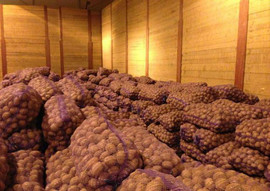 Покупайте картофель от производителя, оптом со склада в Тюмени