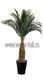 Искусственные и стабилизированные пальмы
