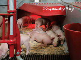 Монтаж оборудования для свинокомплексов и птичнико 4