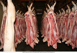 Мясо свинины полу туши 1 кат. 2 кат.
