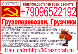 Грузчики. Разнорабочие. Квартирный, офисный переезд.Демонтаж 2