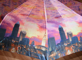 Зонт с принтом ночного города.