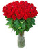 Букет 51 роза высота 90 см с бесплатной доставкой