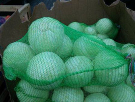 Капуста Оптом от 20 тонн. Доставка!