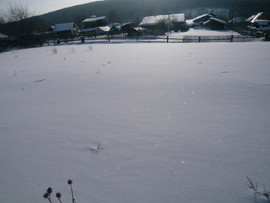 домик в деревне 4