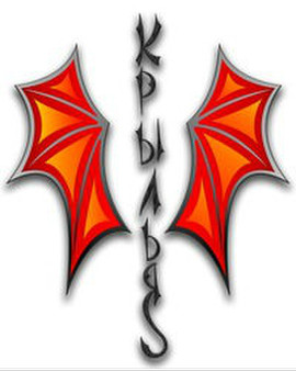 толстовка - Krilya модель 11.1 красная 3