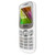 Мобильный телефон Ginzzu M101 mini Dual White, белый