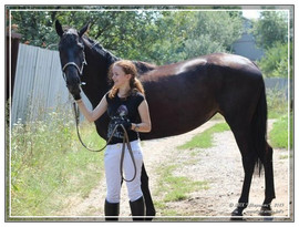 Продам лошадь с жеребёнком УВП