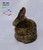Drivemotion wine_snake