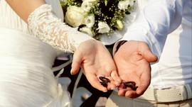 Профессиональная видеосъемка 6