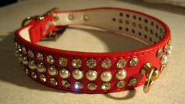 ошейник "Люкс" с кольцом по середине со стразами и жечугом. Новы