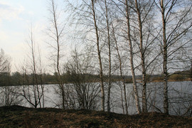 Продаю земельные участки у Рыбинского водохранилища, не дорого 7