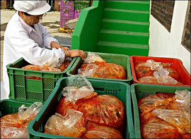 Оборудование и технология для цеха засолки овощей по корейски!