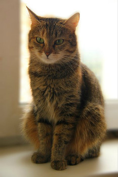 Ласковая Анфисочка 2