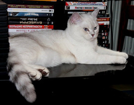 ОЧАРОВАТЕЛЬНЫЕ БРИТАНЦЫ 4