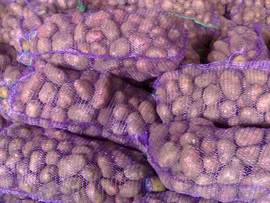 Картофель Оптом от 20 тонн. Доставка.