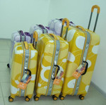 PJ 602 комплект из трех чемоданов.